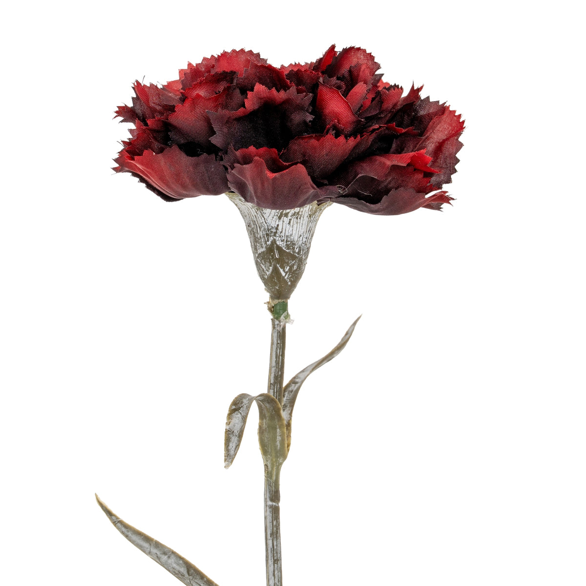 Burgundy Carnation Stem