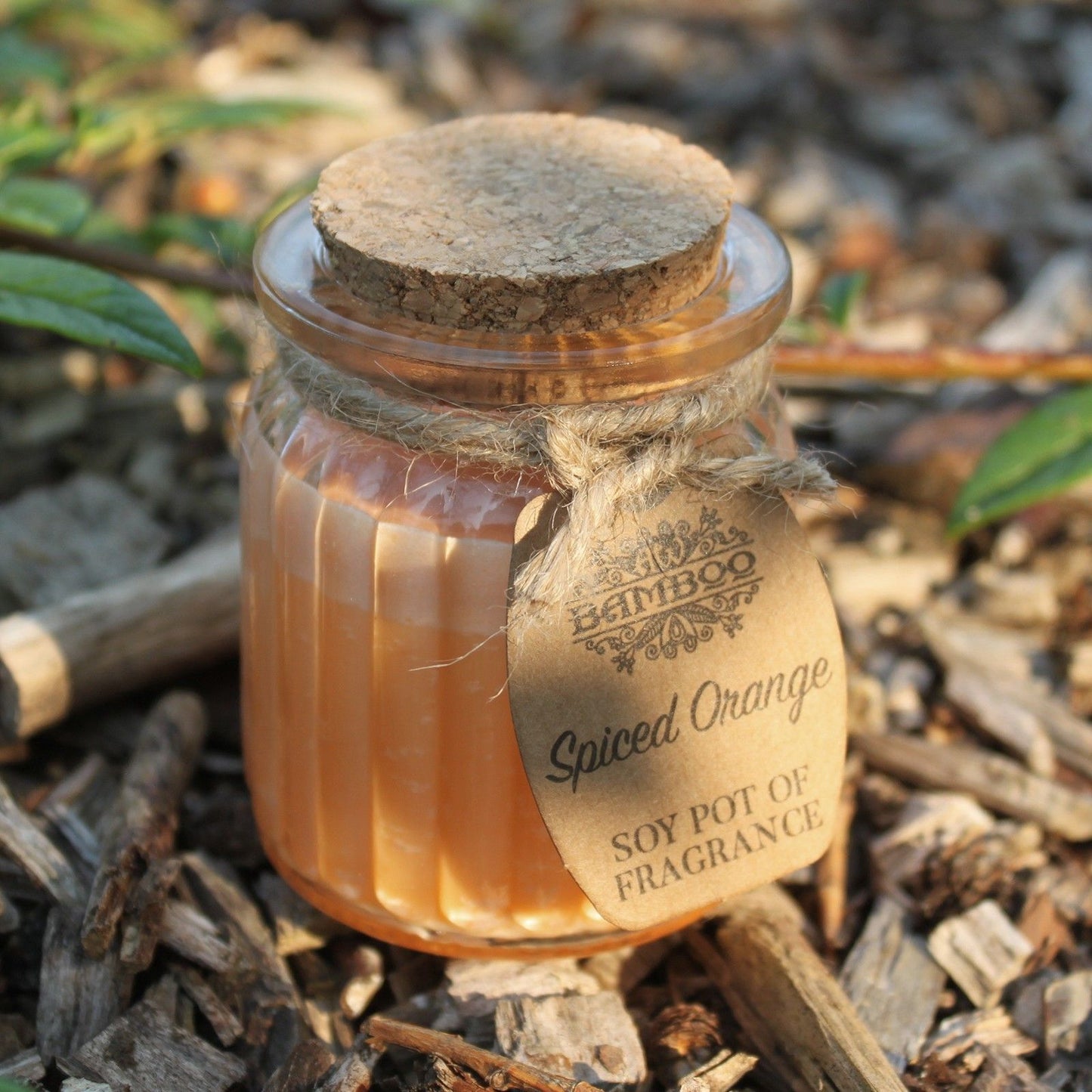Spiced Orange Soy Pot of Fragrance Candles - Image spiced-orange-soy-pot-of-fragrance-candles-soyp-14