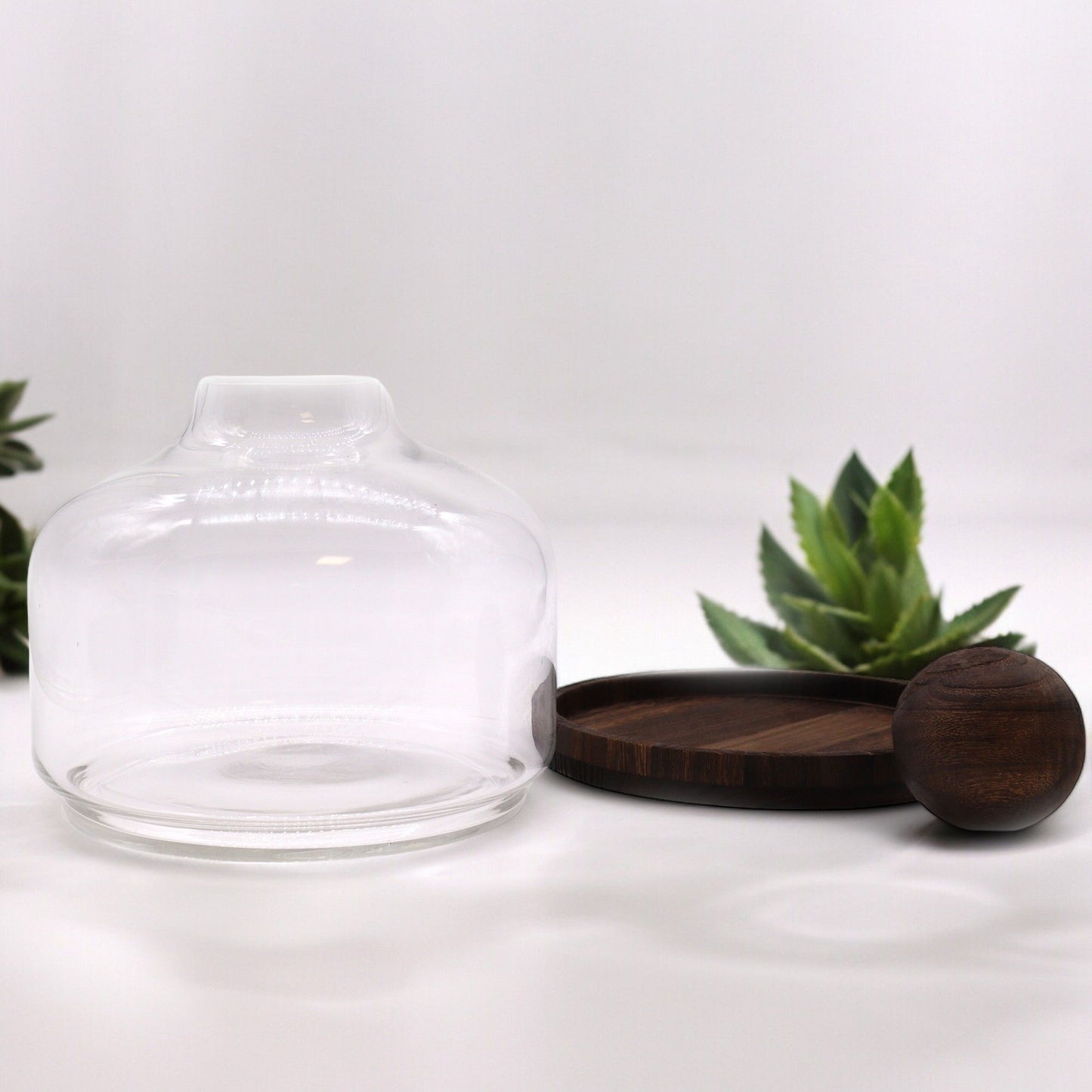 Ex-Large Ball Top Terrarium on Dark Tung Wood - Image exlarge-ball-top-terrarium-on-dark-tung-wood-gter-15