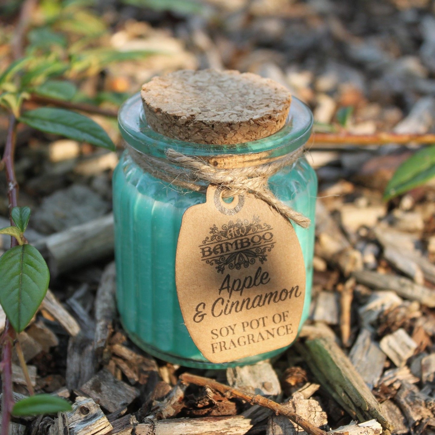 Apple & Cinnamon Soy Pot of Fragrance Candles - Image apple--cinnamon-soy-pot-of-fragrance-candles-soyp-11