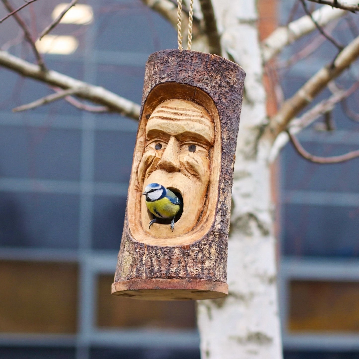 Tree Trunk Face - Bird House - Grumpy Old Man - Image tree-trunk-face--bird-house--grumpy-old-man-birdb-08