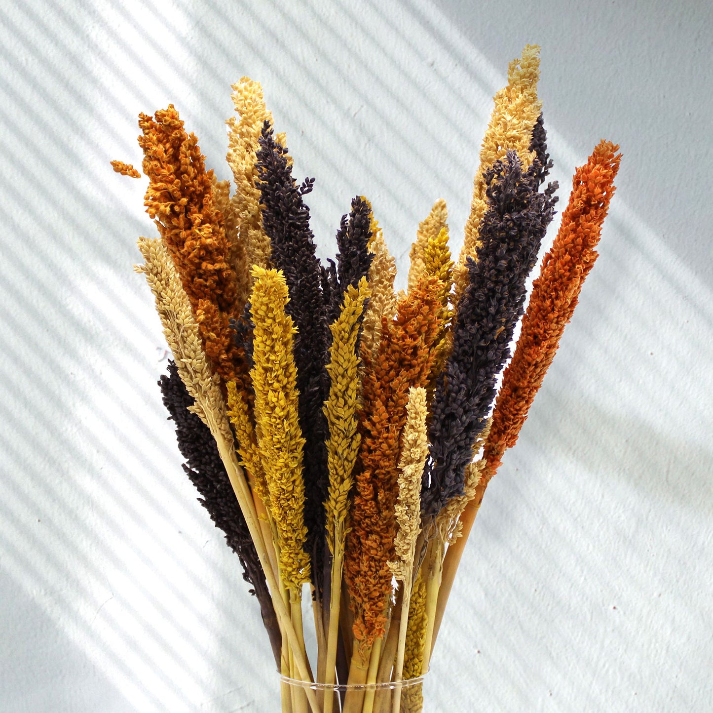Cantal Grass Bunch - Orange - Image cantal-grass-bunch--orange-cgb-03