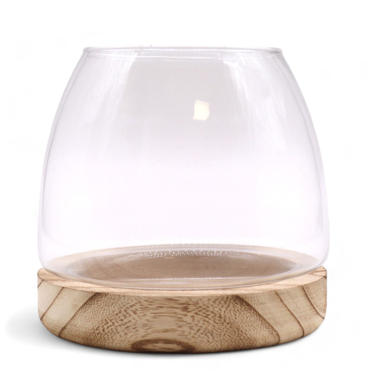 Medium Terrarium on Natural Tung Wood - Image medium-terrarium-on-natural-tung-wood-gter-09
