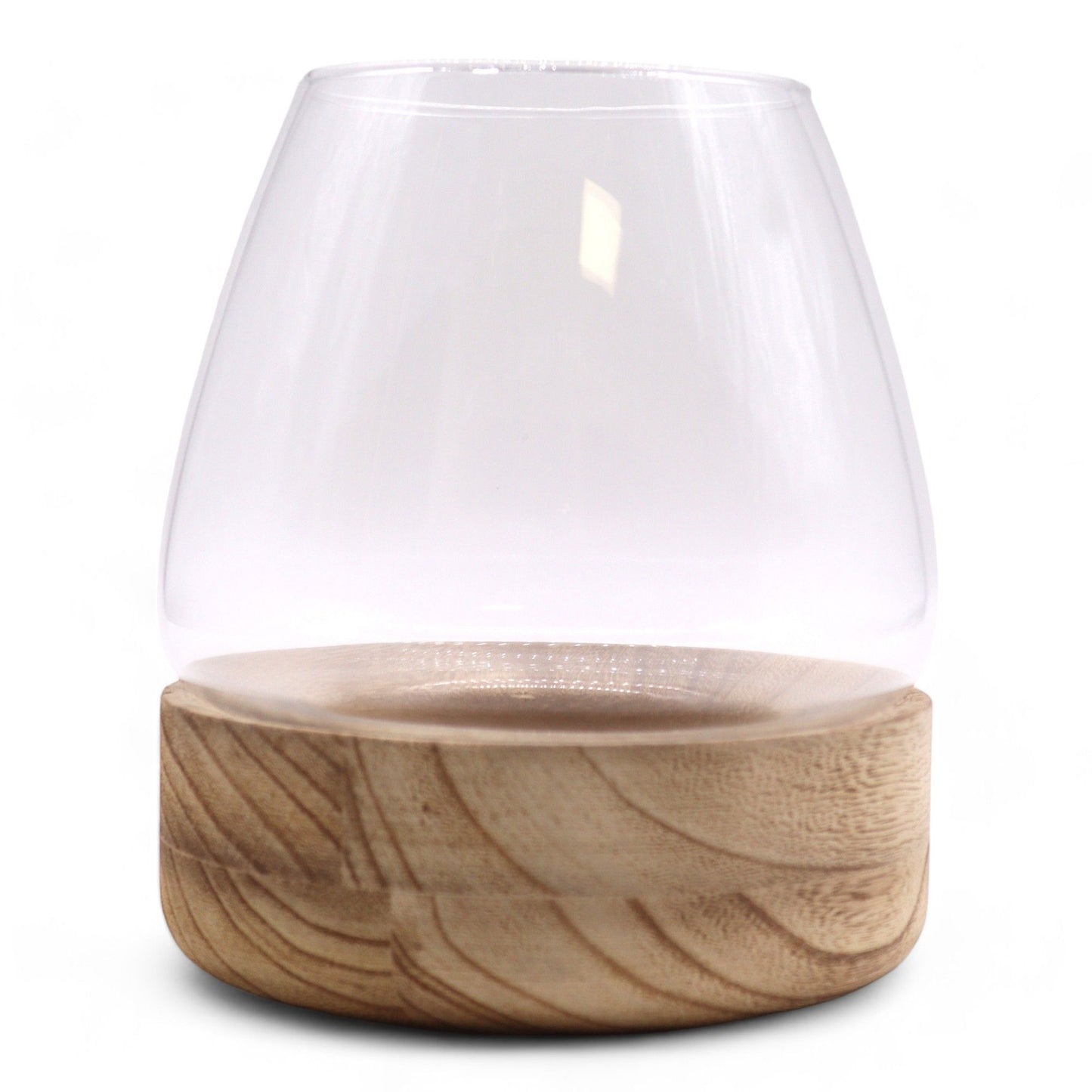 Large Terrarium on Natural Tung Wood - Image large-terrarium-on-natural-tung-wood-gter-10