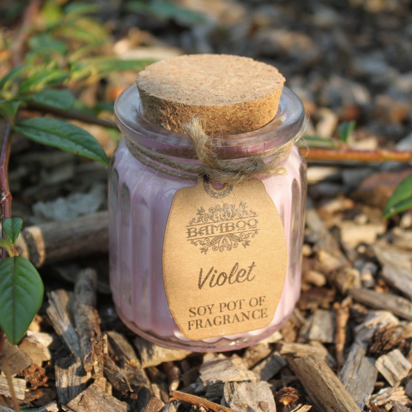 Violet Soy Pot of Fragrance Candles - Image violet-soy-pot-of-fragrance-candles-soyp-04