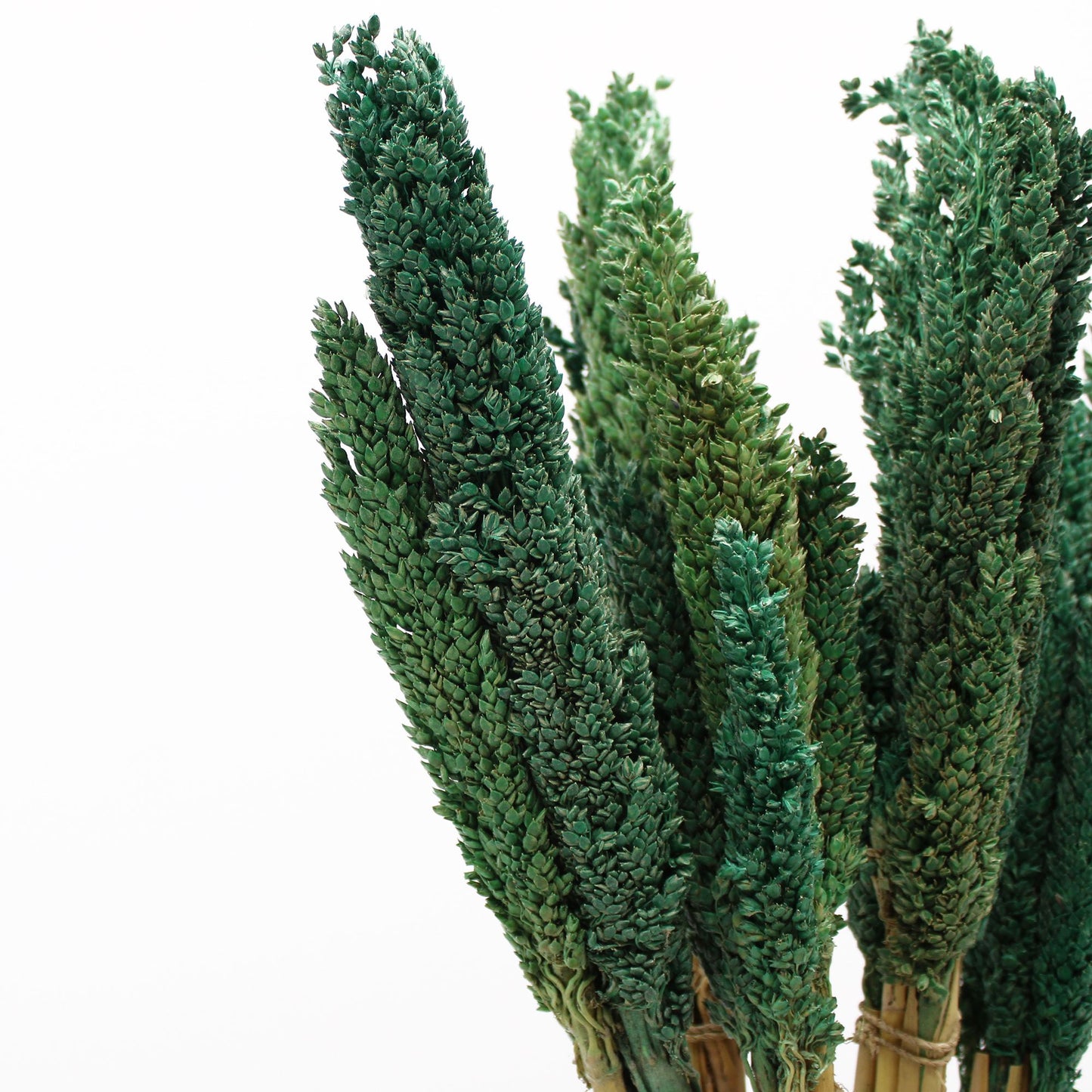 Cantal Grass Bunch - Teal - Image cantal-grass-bunch--teal-cgb-08