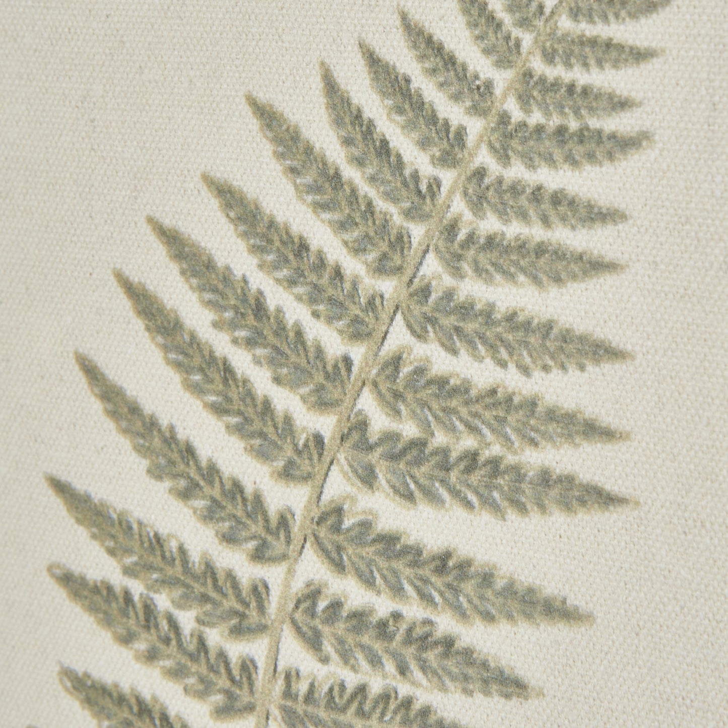 Fern Art On Texture-Torn Paper With Beaded Frame - Printed Art