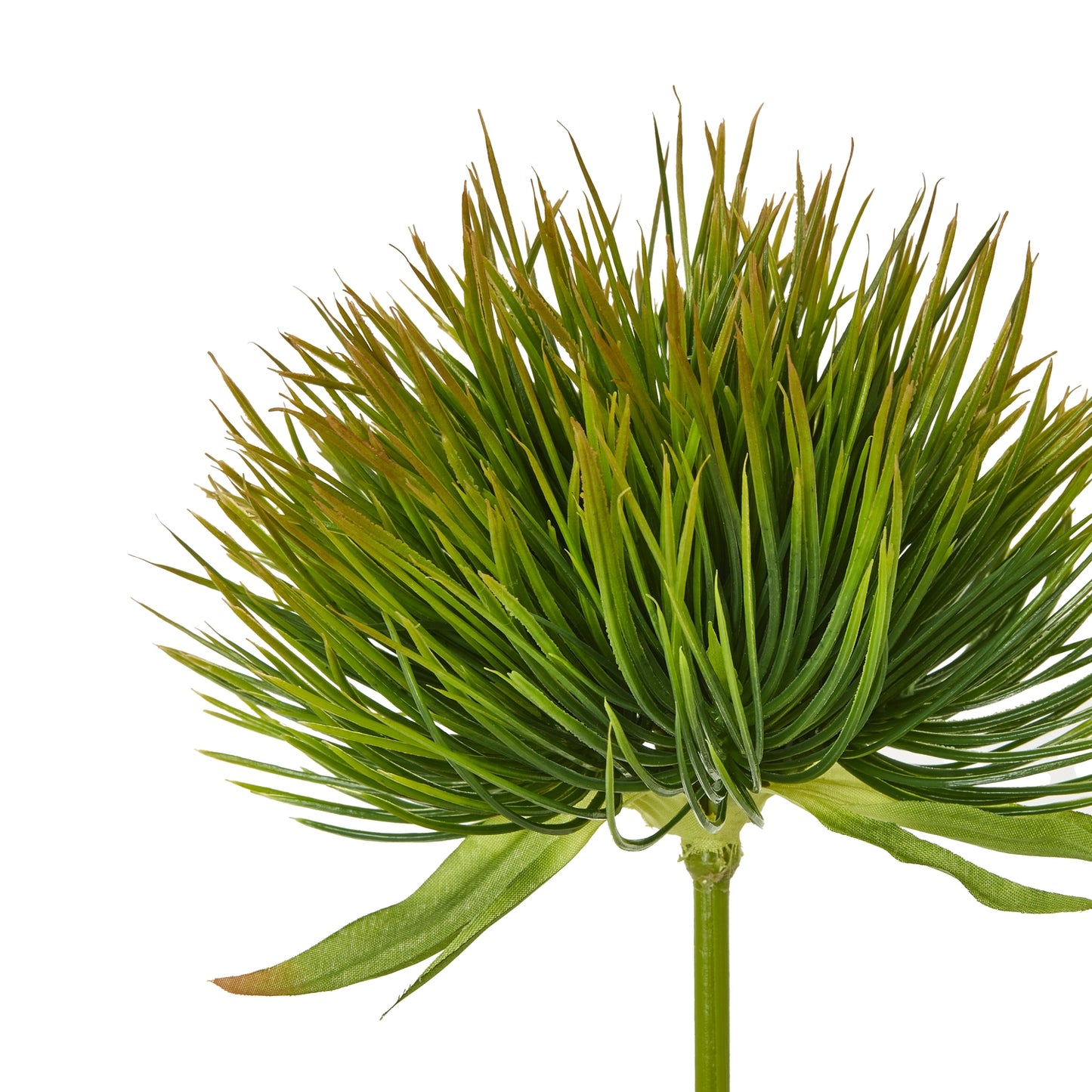 Green Moss Stem - Single Stem Flowers