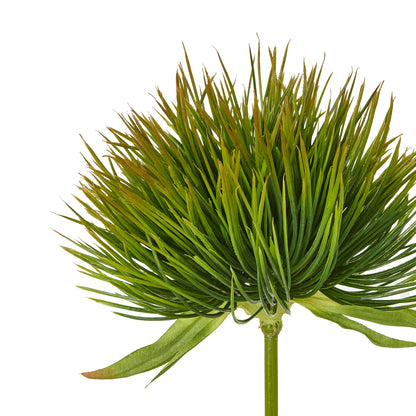 Green Moss Stem - Single Stem Flowers
