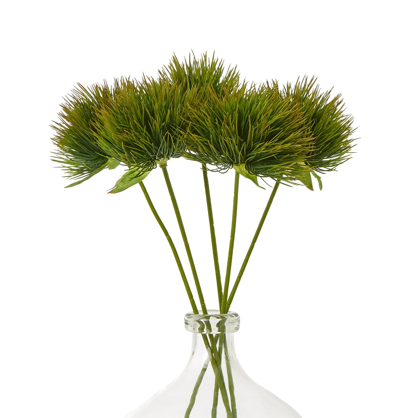 Green Moss Stem - Single Stem Flowers