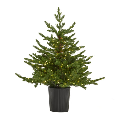Green Forest Fir Pre-Lit Led 300L Christmas Tree In Pot - Christmas