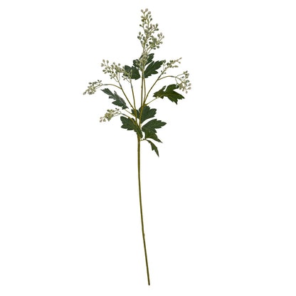 Milk Thistle Bud Spray