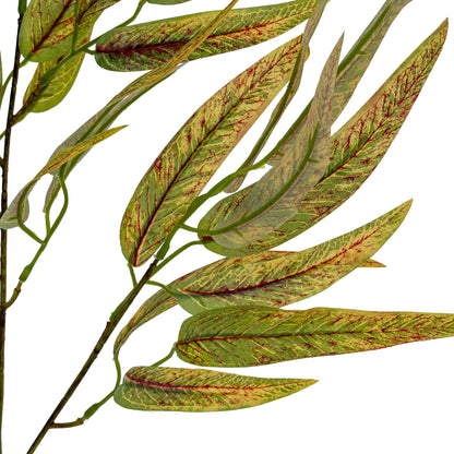 Variegated Long Leaf Eucalyptus Spray