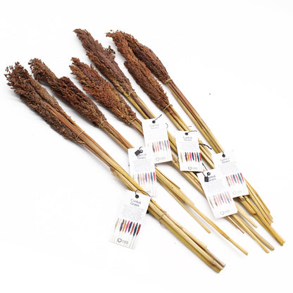 Cantal Grass Bunch - Chocolate - Image cantal-grass-bunch--chocolate-cgb-05