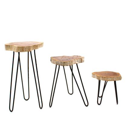 Set of 3 Gamal Wood Plant Stands - Whitewash - Image set-of-3-gamal-wood-plant-stands--whitewash-pss-01