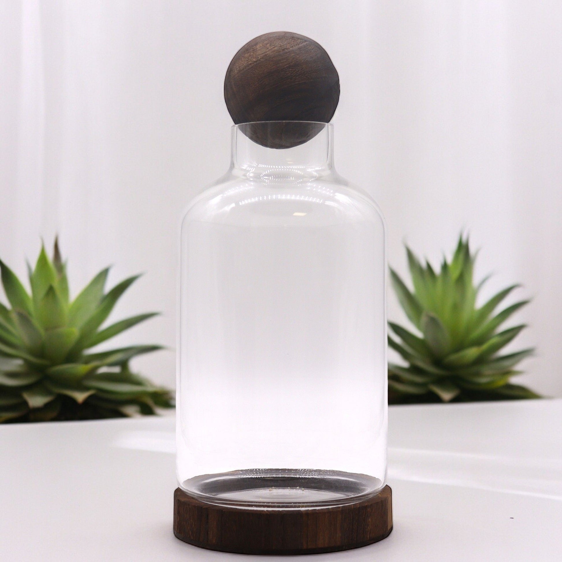 Large Ball Top Terrarium on Dark Tung Wood - Image large-ball-top-terrarium-on-dark-tung-wood-gter-14
