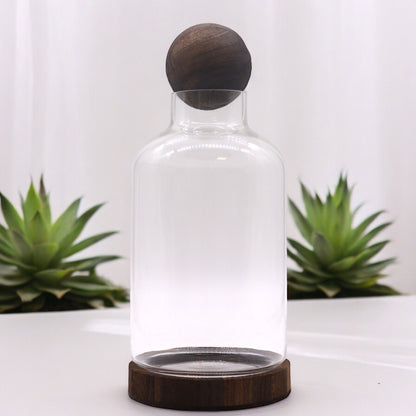 Large Ball Top Terrarium on Dark Tung Wood - Image large-ball-top-terrarium-on-dark-tung-wood-gter-14