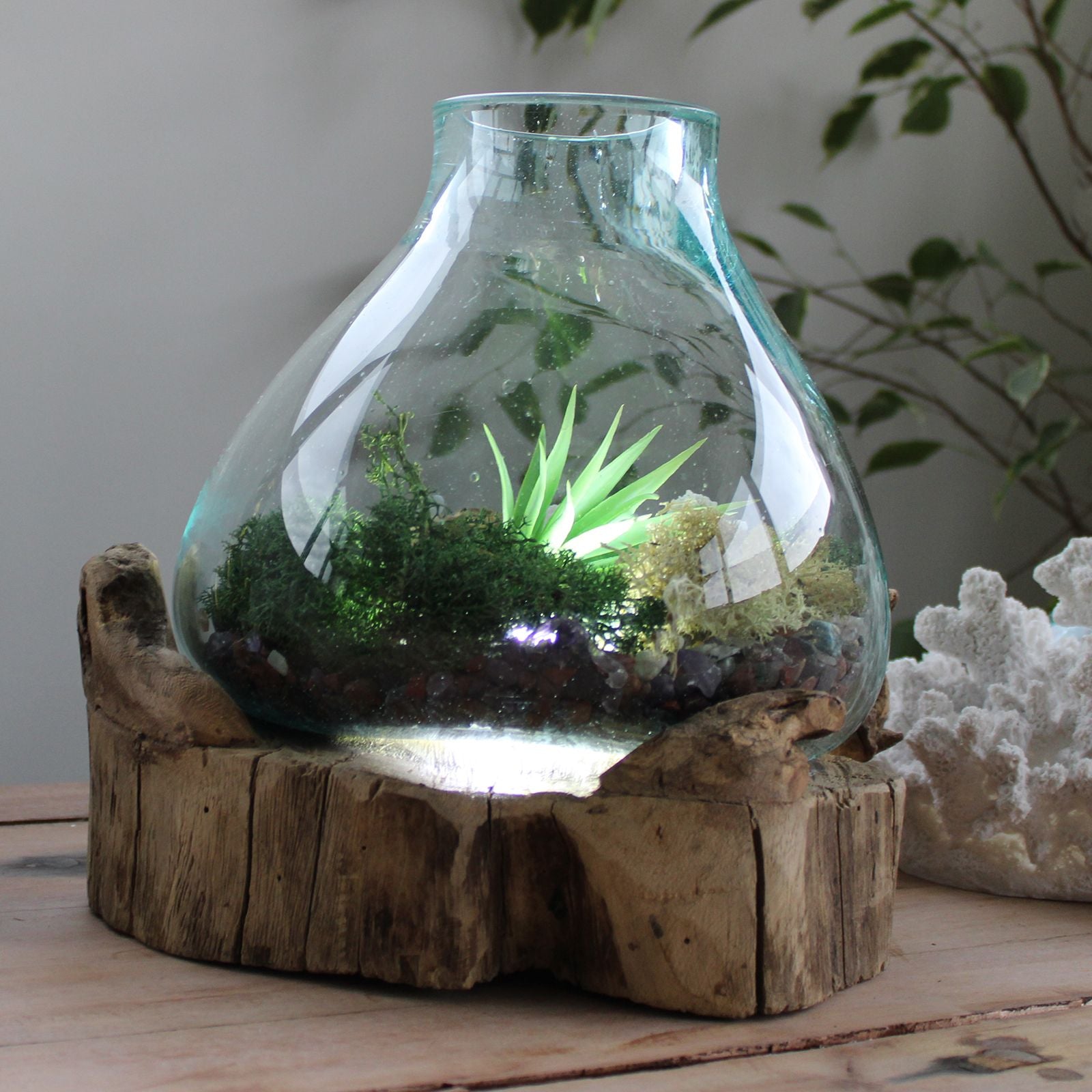 Molten Glass Large Fish Tank 3.7 litre (with light cavity)- 30cm - Image molten-glass-large-fish-tank-37-litre-with-light-cavity-30cm-mgw-12