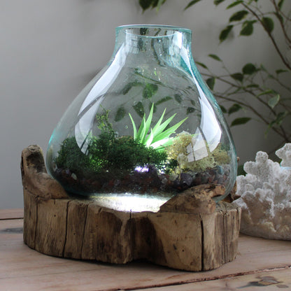 Molten Glass Large Fish Tank 3.7 litre (with light cavity)- 30cm - Image molten-glass-large-fish-tank-37-litre-with-light-cavity-30cm-mgw-12