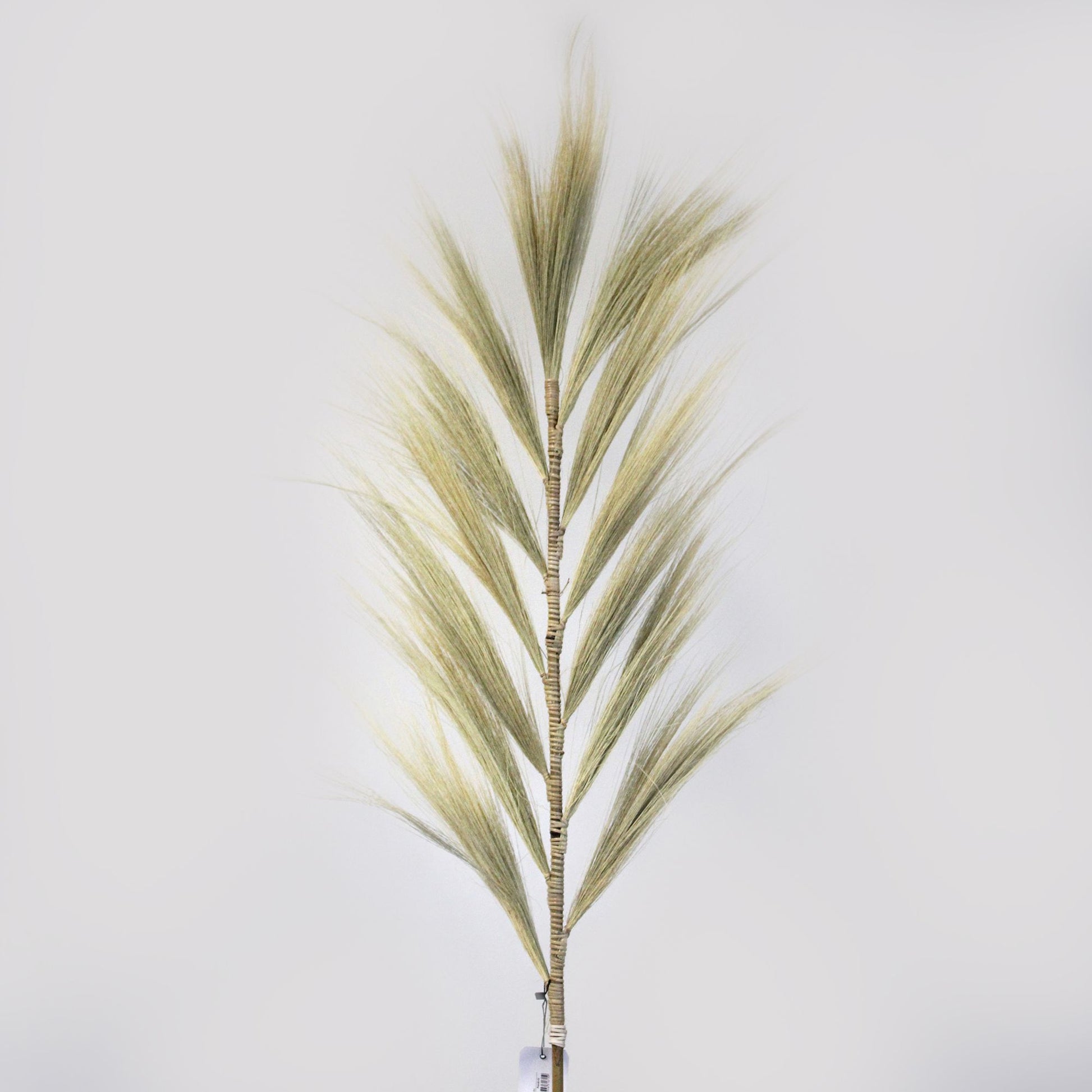 Rayung Grass Blond - 1.6m - Image rayung-grass-blond--16m-pamg-02