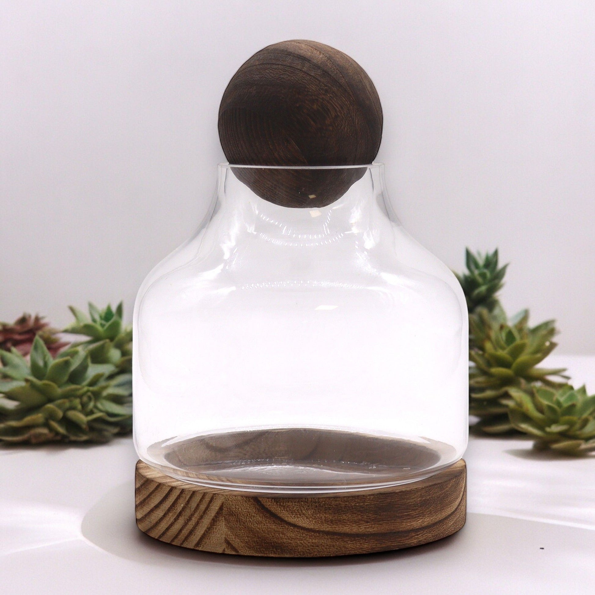 Medium Ball Top Terrarium on Dark Tung Wood - Image medium-ball-top-terrarium-on-dark-tung-wood-gter-13