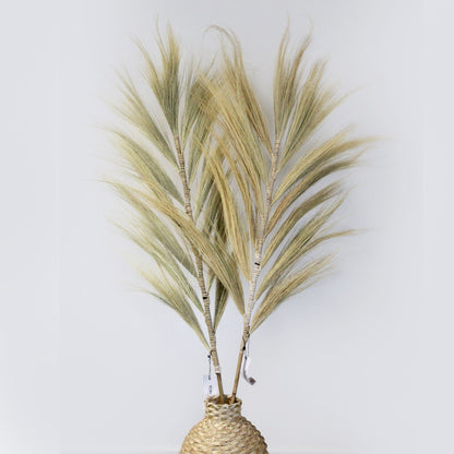 Rayung Grass Blond - 1.6m - Image rayung-grass-blond--16m-pamg-02