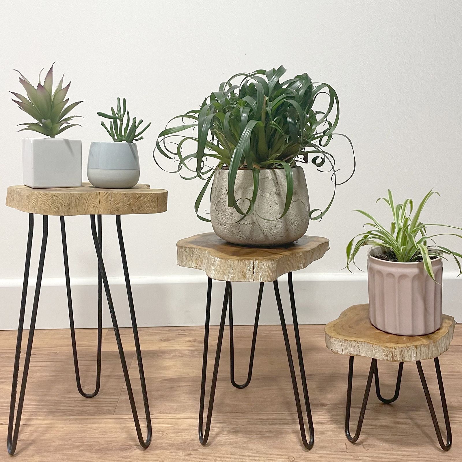 Set of 3 Gamal Wood Plant Stands - Whitewash - Image set-of-3-gamal-wood-plant-stands--whitewash-pss-01