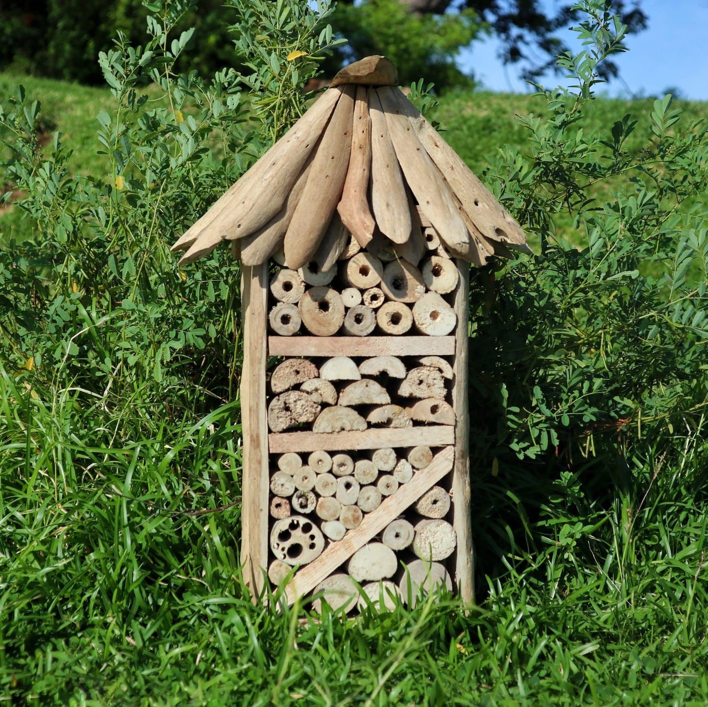 Driftwood Bee & Insect Highrise Box - Image driftwood-bee--insect-highrise-box-bbbox-10