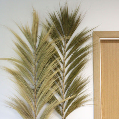 Rayung Grass Natural - 2m - Image rayung-grass-natural--2m-pamg-07