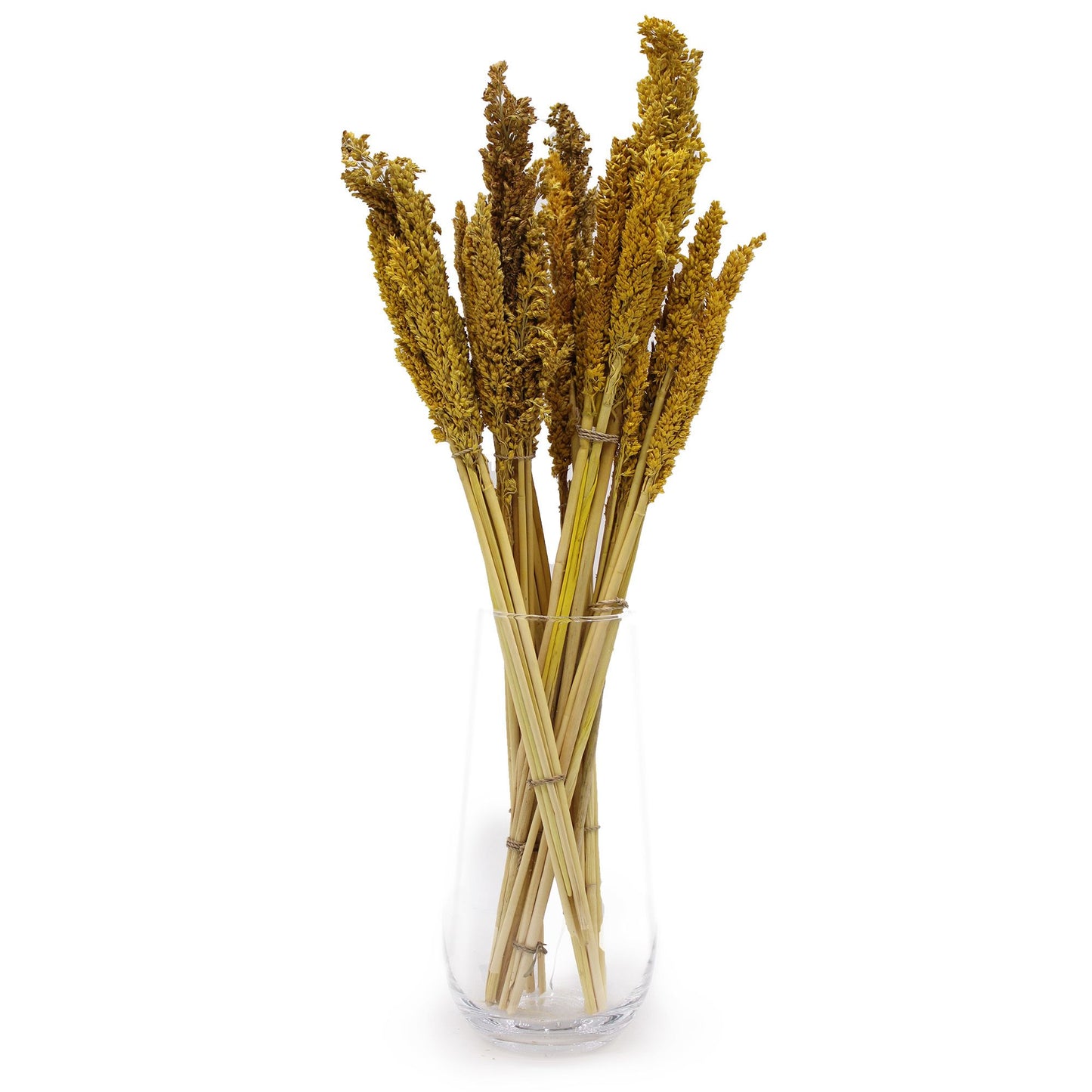 Cantal Grass Bunch - Amber - Image cantal-grass-bunch--amber-cgb-02