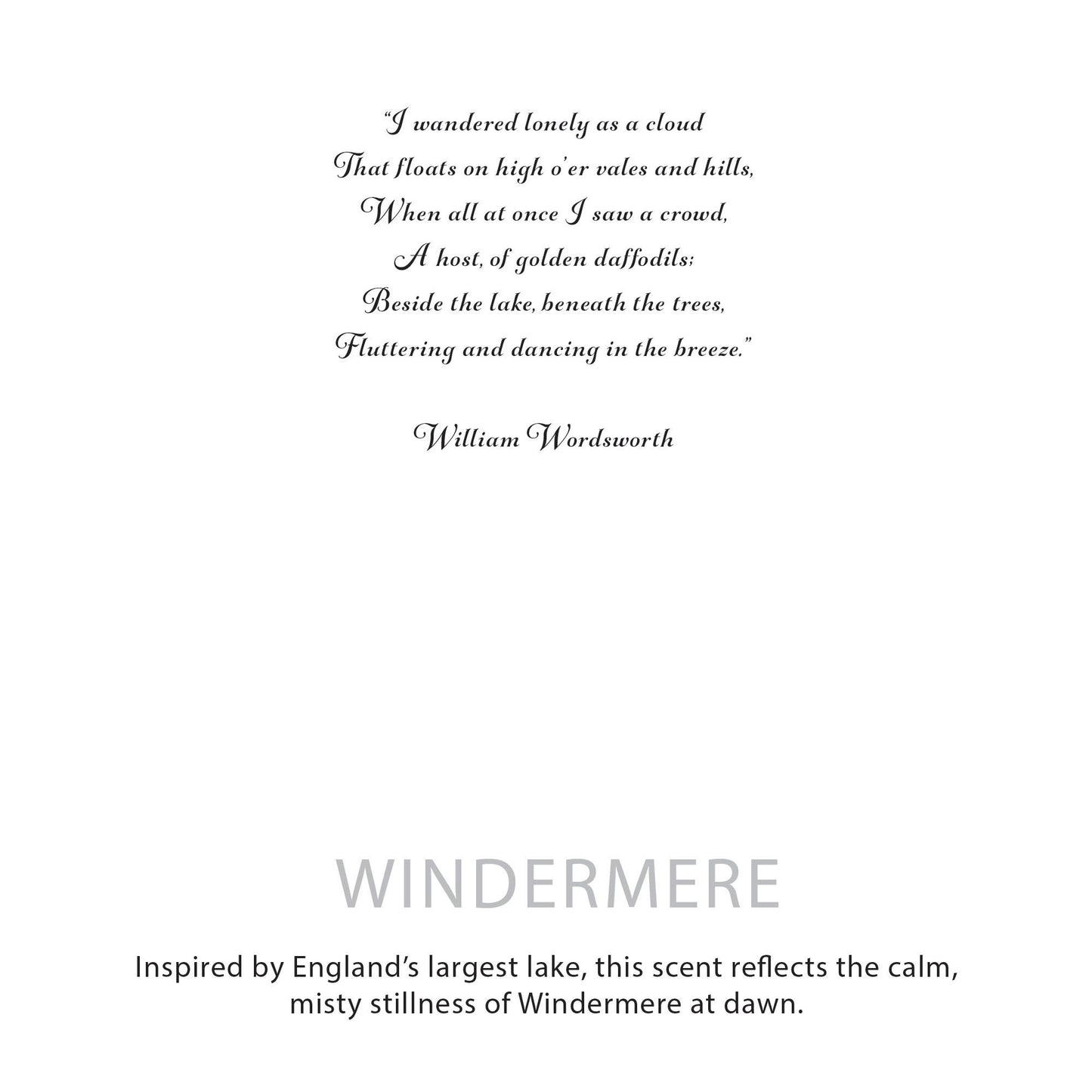 Agnes + Cat Botanical Soy Wax Candle - Windermere - Image agnes--cat-botanical-soy-wax-candle--windermere-acbfc-02