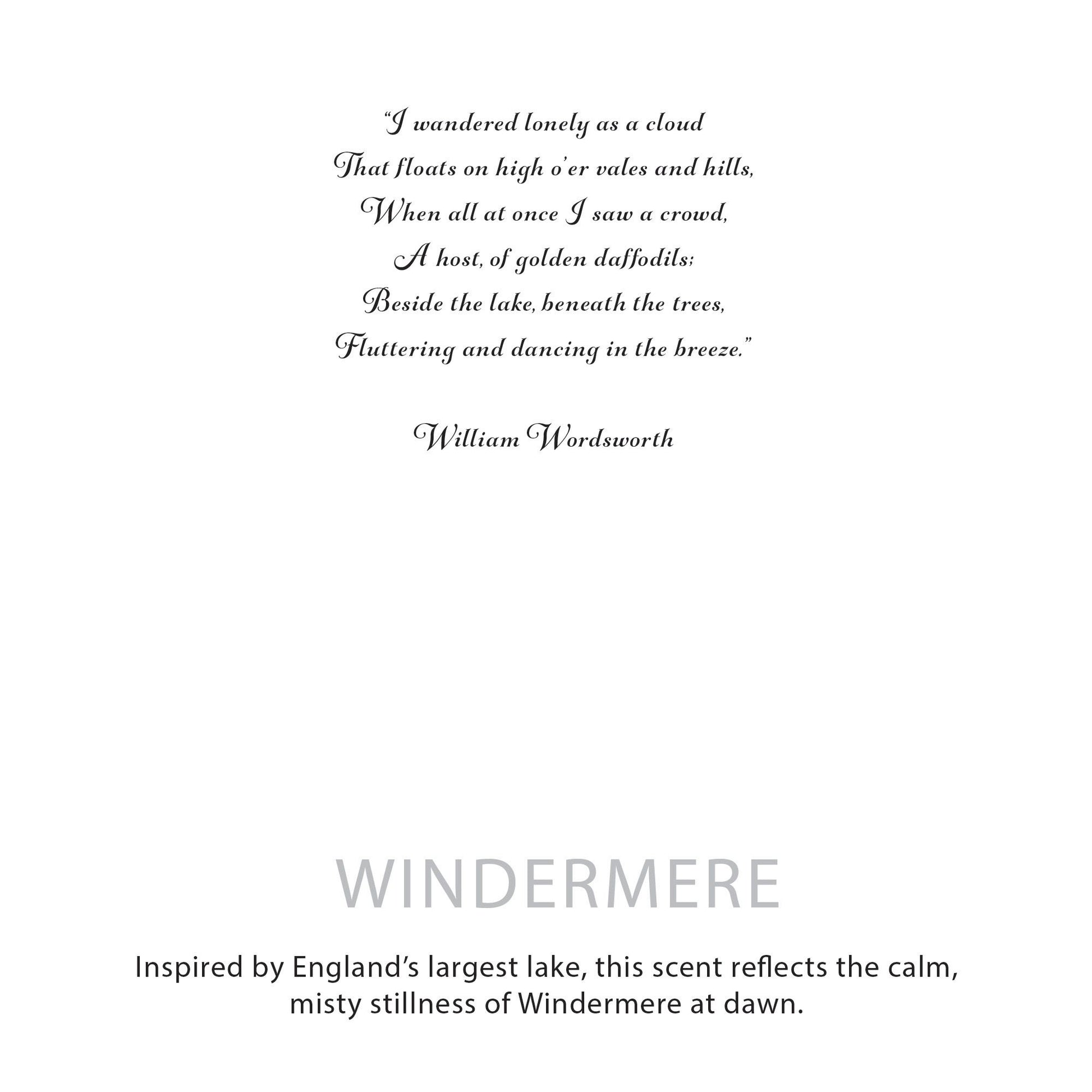 Agnes + Cat Botanical Soy Wax Candle - Windermere - Image agnes--cat-botanical-soy-wax-candle--windermere-acbfc-02