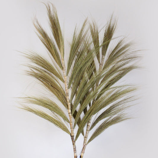 Rayung Grass Natural - 2m - Image rayung-grass-natural--2m-pamg-07