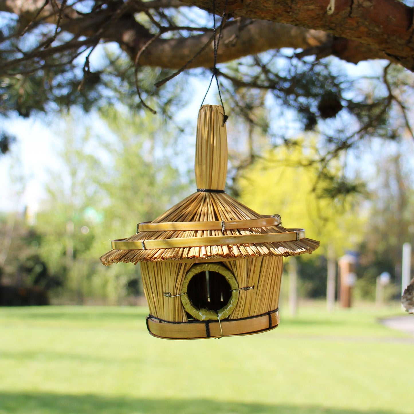 Small Round Seagrass Bird Box 17x17cm - Image small-round-seagrass-bird-box-17x17cm-birdb-01