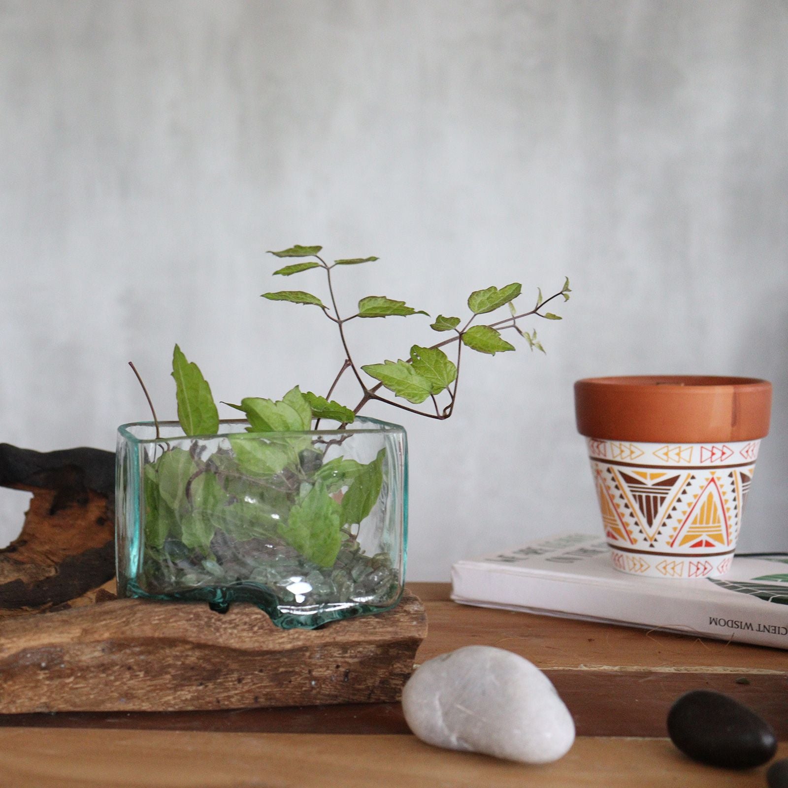 Molten Glass Tank on Wood with Stand - Small Bowl - Image molten-glass-tank-on-wood-with-stand--small-bowl-mgw-20