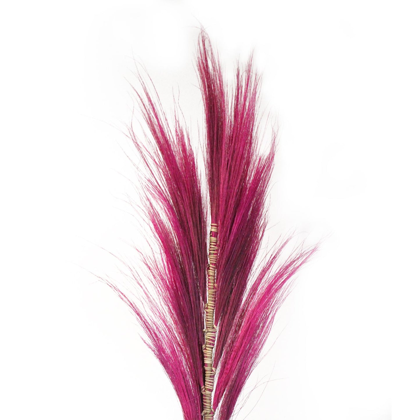 Rayung Grass Pink- 1.6m - Image rayung-grass-pink-16m-pamg-05