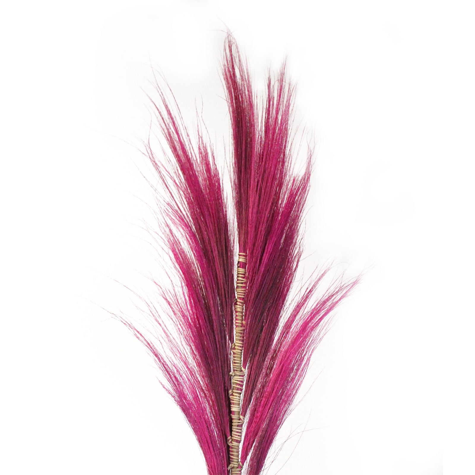 Rayung Grass Pink- 1.6m - Image rayung-grass-pink-16m-pamg-05