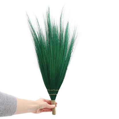Set 4 - Pampas Long Broom - Vivid colours - Image set-4--pampas-long-broom--vivid-colours-npb-01