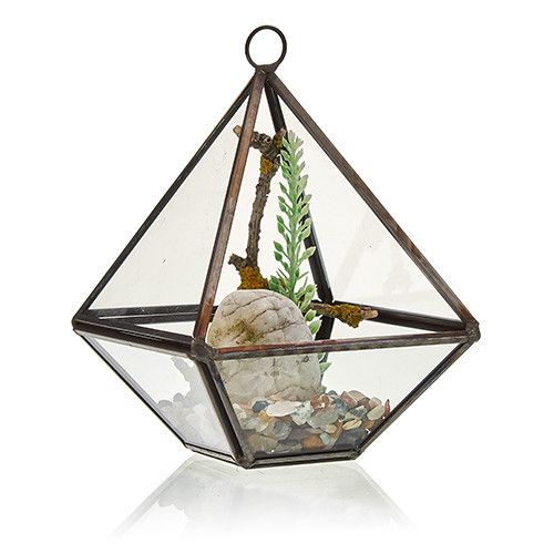 Glass Terrarium - Small Diamond - Image glass-terrarium--small-diamond-gter-01