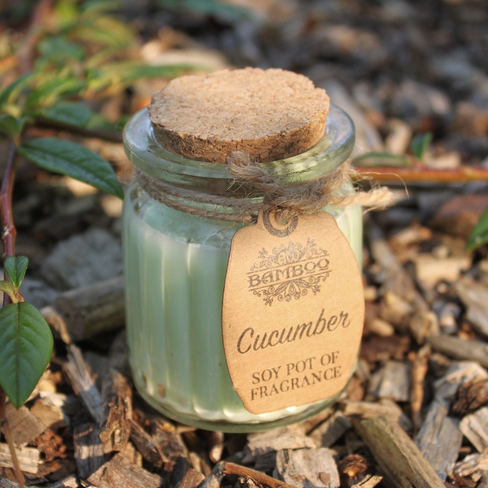 Cucumber Soy Pot of Fragrance Candles - Image cucumber-soy-pot-of-fragrance-candles-soyp-03