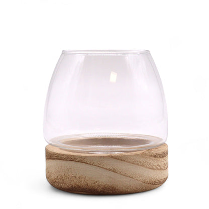 Mini Terrarium on Natural Tung Wood - Image mini-terrarium-on-natural-tung-wood-gter-07