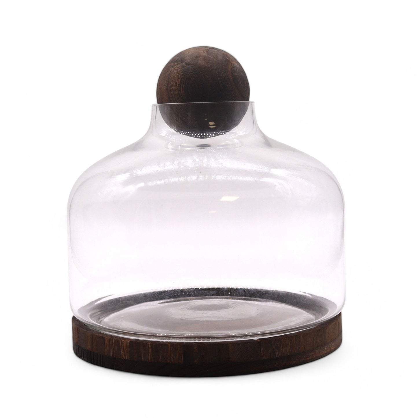 Ex-Large Ball Top Terrarium on Dark Tung Wood - Image exlarge-ball-top-terrarium-on-dark-tung-wood-gter-15