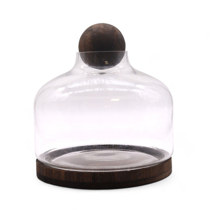 Ex-Large Ball Top Terrarium on Dark Tung Wood - Image exlarge-ball-top-terrarium-on-dark-tung-wood-gter-15