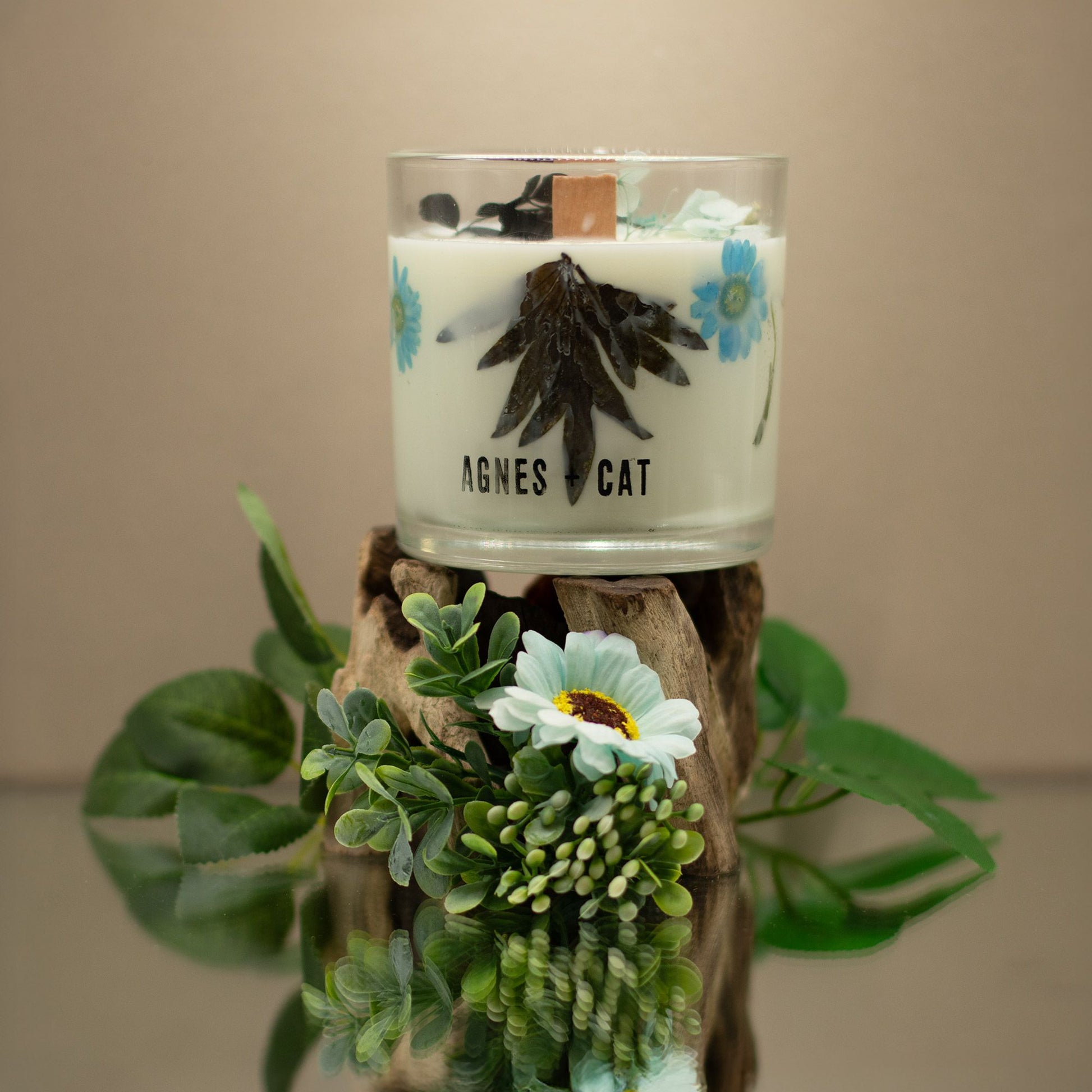 Agnes + Cat Botanical Soy Wax Candle - Seasalt & Moss - Image agnes--cat-botanical-soy-wax-candle--seasalt--moss-acbfc-06