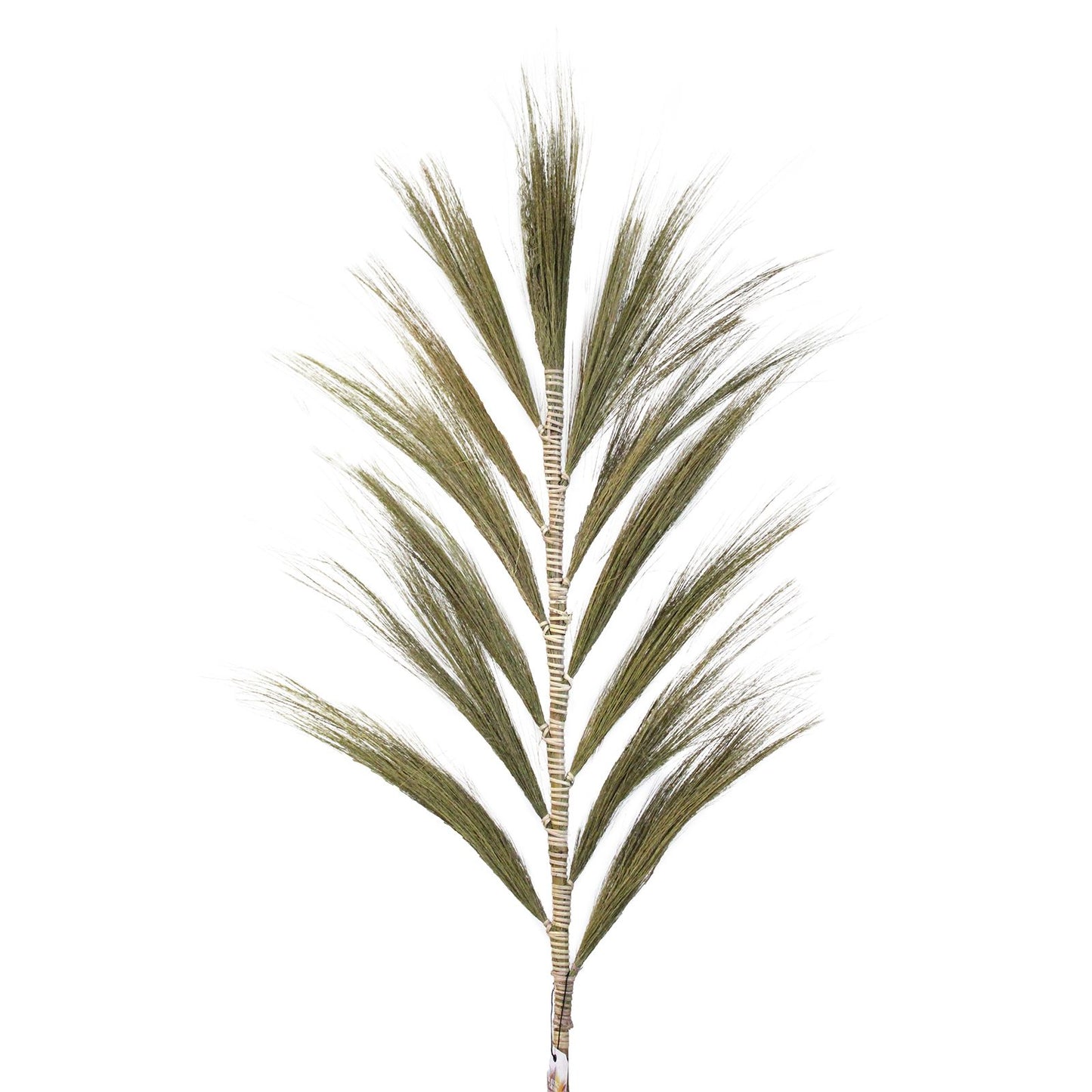 Rayung Grass Natural - 1.6m - Image rayung-grass-natural--16m-pamg-01