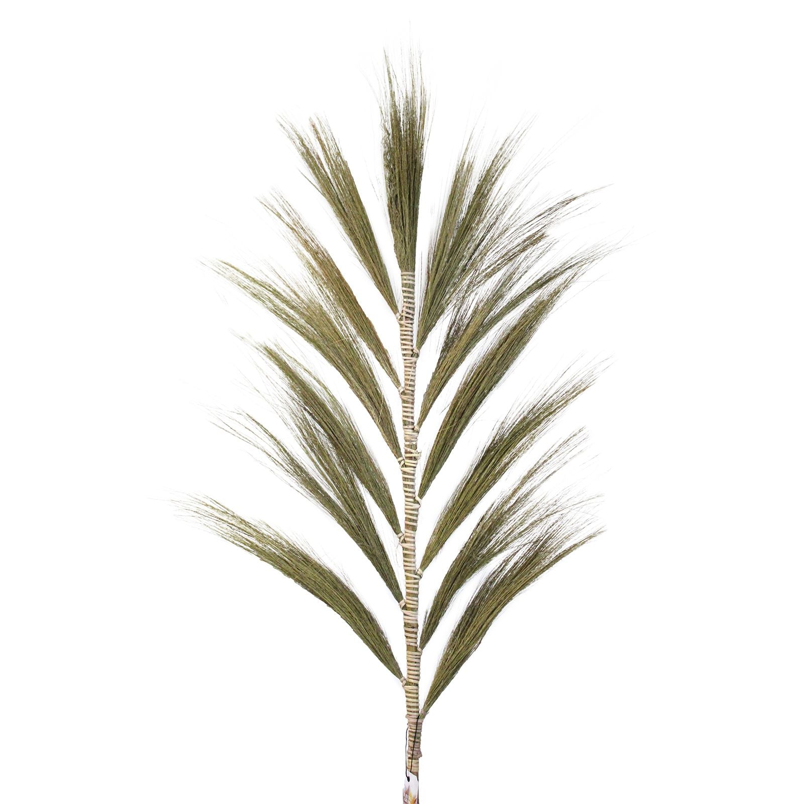 Rayung Grass Natural - 1.6m - Image rayung-grass-natural--16m-pamg-01