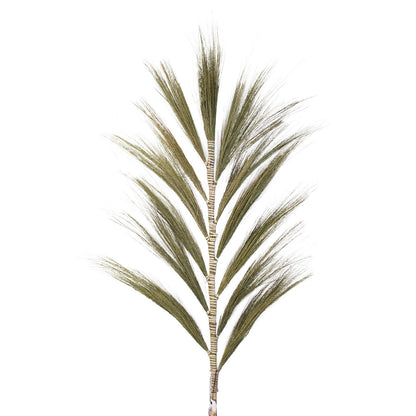 Rayung Grass Natural - 1.6m - Image rayung-grass-natural--16m-pamg-01