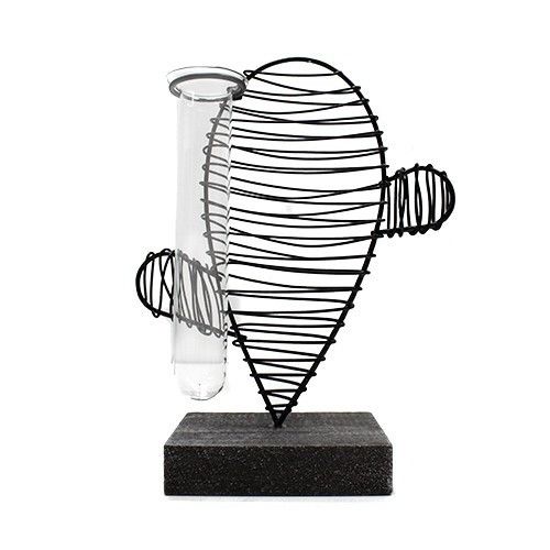 Hydroponic Home Décor - Cactus & Lab Pot - Image hydroponic-home-dcor--cactus--lab-pot-hhd-09
