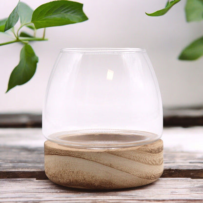 Mini Terrarium on Natural Tung Wood - Image mini-terrarium-on-natural-tung-wood-gter-07