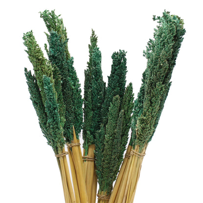 Cantal Grass Bunch - Teal - Image cantal-grass-bunch--teal-cgb-08